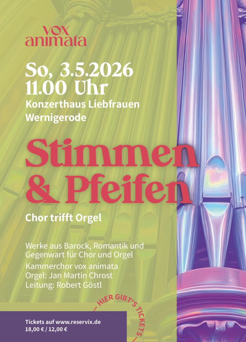 vox goes Wernigerode